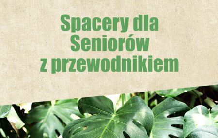 Spacer z przewodnikiem dla seniorów w Poznańskiej Palmiarni